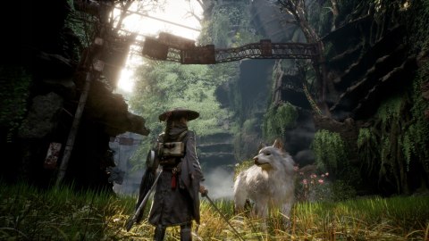 Beast of Reincarnation Deluxe Edition PlayStation 5 (PS5) pudełkowa