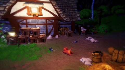 Everdream Valley Nintendo Switch pudełkowa