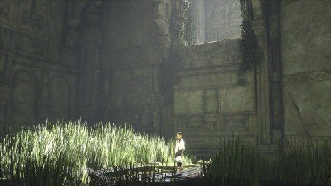 The Last Guardian PlayStation 4 (PS4) pudełkowa