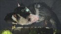 The Last Guardian PlayStation 4 (PS4) pudełkowa
