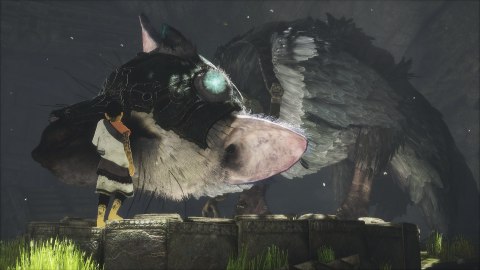 The Last Guardian PlayStation 4 (PS4) pudełkowa