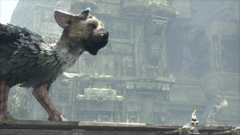 The Last Guardian PlayStation 4 (PS4) pudełkowa