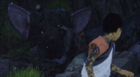 The Last Guardian PlayStation 4 (PS4) pudełkowa