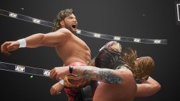 AEW All Elite Wrestling Fight Forever PlayStation 5 (PS5) pudełkowa