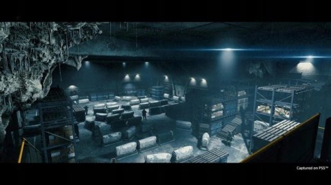 Death Stranding: Director's Cut PlayStation 5 (PS5) pudełkowa