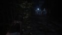 Fatal Frame II: Crimson Butterfly Remake Nintendo Switch 2 pudełkowa