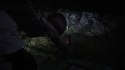 Fatal Frame II: Crimson Butterfly Remake Nintendo Switch 2 pudełkowa