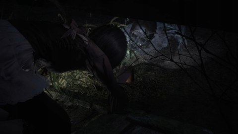 Fatal Frame II: Crimson Butterfly Remake Nintendo Switch 2 pudełkowa