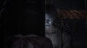 Fatal Frame II: Crimson Butterfly Remake Nintendo Switch 2 pudełkowa
