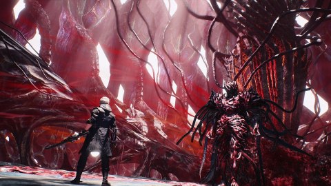 Devil May Cry 5 Devil Hunter Edition Nintendo Switch 2 pudełkowa