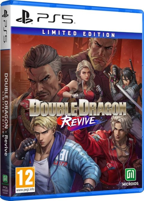 Double Dragon Revive Limited Edition PlayStation 5 (PS5) pudełkowa