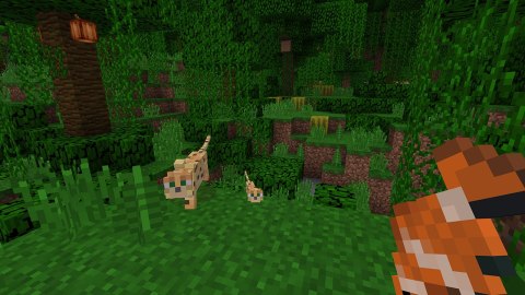 Minecraft Nintendo Switch pudełkowa