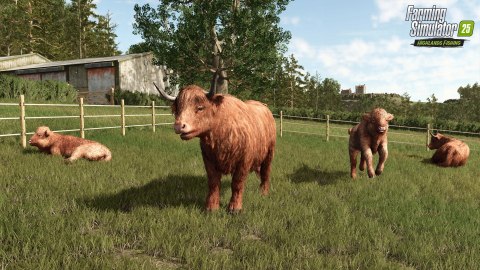 Farming Simulator 25 Highlands Fishing Edition PlayStation 5 (PS5)
