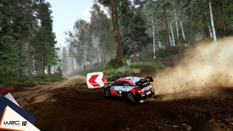 WRC 10 PS4 Playstation 4 Pudełkowa