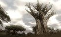 Far Cry 2 Xbox 360 pudełkowa