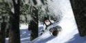 SHAUN WHITE SNOWBOARDING Sony PlayStation 3 (PS3)