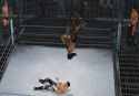 SMACKDOWN VS RAW 2011 Sony PlayStation 3 (PS3)