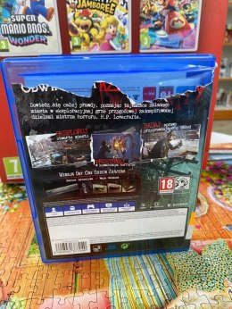 The Sinking City Day One Edition PS4 Sony PlayStation 4 (PS4)