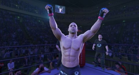 UFC Undisputed 3 Sony PlayStation 3 (PS3)