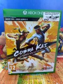 Cobra Kai The Karate Kid Saga Continues Microsoft Xbox One
