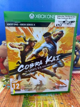 Cobra Kai The Karate Kid Saga Continues Microsoft Xbox One