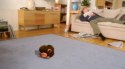 EyePet Sony PlayStation 3 (PS3)