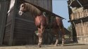 Red Dead Redemption GOTY Sony PlayStation 3 (PS3)