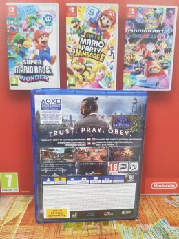 FAR CRY 5 PL - PS4/PS5 Sony PlayStation 4 (PS4)